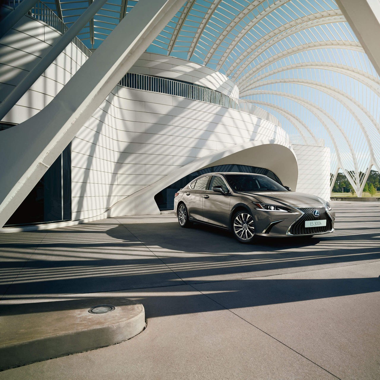 2021-lexus-business-hero-hybrid-for-business-1920x1920_tcm-3182-1736502